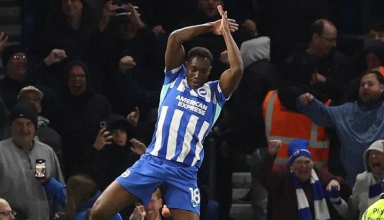 المخضرم ويلبيك 