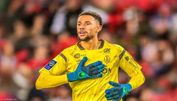 
«حرب المناشف» تحول ضيوف إلى بطل قومي