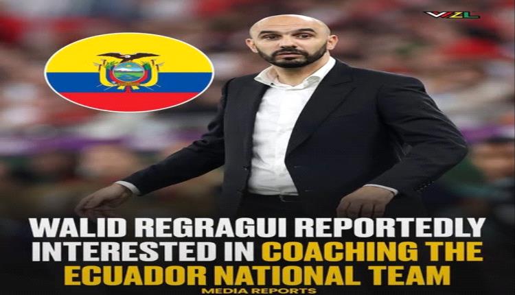وليد الركراكي مرشّح لتدريب منتخب الإكوادور